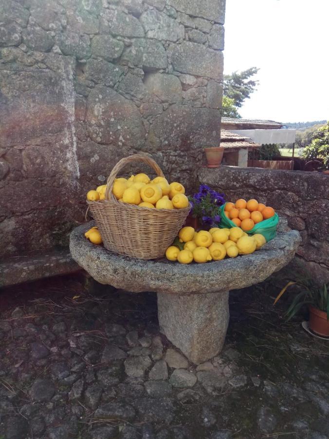 Casa Do Balcao ξενώνας Alcains Εξωτερικό φωτογραφία