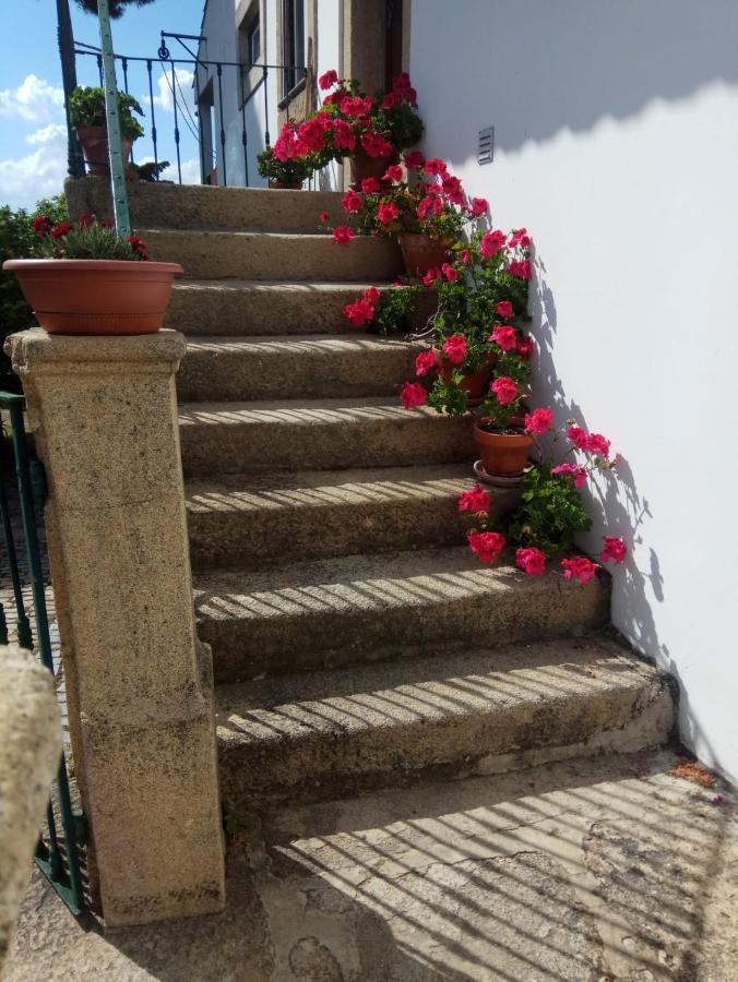 Casa Do Balcao ξενώνας Alcains Εξωτερικό φωτογραφία